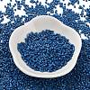 Baking Paint Glass Seed Beads SEED-S042-05B-75-2