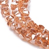 Electroplate Glass Beads Strands EGLA-L021-PL01-2