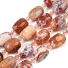 Natural Fire Crackle Agate Beads Strands G-K393-G01-10x14-2