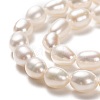 Natural Cultured Freshwater Pearl Beads Strands PEAR-L033-71-01-2