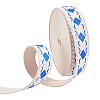10Yards Vintage Jacquard Polyester Ribbon OCOR-ME0001-79A-1