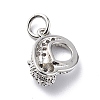 Brass Micro Pave Cubic Zirconia Charms ZIRC-F131-03P-2