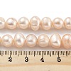Natural Cultured Freshwater Pearl Beads Strands PEAR-C003-16A-5