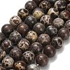 Natural Astroite Jasper Beads Strands G-H329-C02-10mm-2