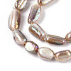 Electroplated Natural Freshwater Shell Beads Strands SHEL-T020-33-3