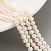 Natural Cultured Freshwater Pearl Beads Strands PEAR-C003-10H-2