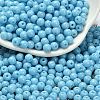 Opaque Colours Glass Seed Beads SEED-C001-02B-02-1