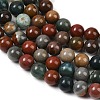 Natural New Ocean Jasper Bead Strands G-G954-01-8mm-01-5