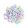 Handmade Polymer Clay Nail Art Decoration Accessories CLAY-T022-07H-1