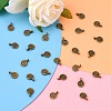 Tibetan Style Alloy Charms LS-MLF0339Y-5