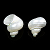Natural Spiral Shell Beads X-SSHEL-N034-126-3