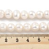 Natural Cultured Freshwater Pearl Beads Strands PEAR-C003-15E-5