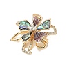 Alloy Rhinestone Brooch PW-WG722E4-01-2