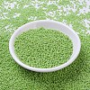 MIYUKI Round Rocailles Beads SEED-G007-RR0479-2