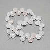 Natural Rose Quartz Gemstone Beads Strands X-G-T005-18-2