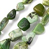 Natural Serpentine Beads Strands G-D098-C06-2