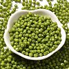 Baking Paint Glass Seed Beads X1-SEED-A032-02A-07-2