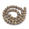 Natural Elephant Skin Jasper/Miriam Stone/Calligraphy Stone Beads Strands G-T106-124-3