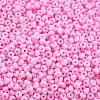 6/0 Glass Seed Beads SEED-T005-14-B12-3