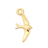 Brass Charms KK-C117-05G-1