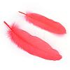 Goose Feather Costume Accessories FIND-Q044-04-2