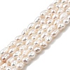 Natural Cultured Freshwater Pearl Beads Strands PEAR-I007-01O-01D-2