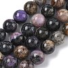 Natural Charoite Beads Strands G-C270-O03-10-2