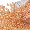 TOHO Round Seed Beads SEED-XTR08-0301-1