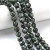 Natural Seraphinite Beads Strands G-C270-O01-07-1