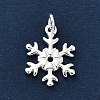 925 Sterling Silver Pendants LS-FIND-Z069-04S-B-2