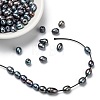 Large Hole Pearl Beads PEAR-R064-03-5