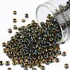 TOHO Round Seed Beads SEED-JPTR08-0244-1