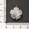 Natural Quartz Crystal Pendants G-C290-02C-3