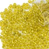 10G Glass Seed Beads SEED-YW0003-11L-1