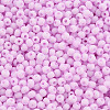 8/0 Opaque Glass Seed Beads X1-SEED-S048-N-004-3