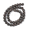 Natural Labradorite Beads Strands X-G-G0003-C03-6mm-3