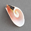 Spiral Shell Pendants SSHEL-S001-03-1