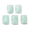 Natural Amazonite Beads GG-C001-01F-1