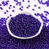 6/0 Glass Seed Beads SEED-T006-04C-07-2