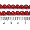 Shell Pearl Beads Strands BSHE-K015-6mm-01-4