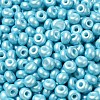 Baking Paint Luster Glass Seed Beads X1-SEED-B001-04A-03-3
