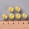 Transparent Acrylic Beads TACR-S152-16B-SS2105-4