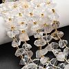 Natural Quartz Crystal Beads Strands G-F833-T02-02-1