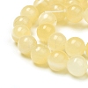 Natural Yellow Jade Beads Strands G-G829-04-8mm-3