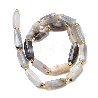 Natural Botswana Agate Beads Strands G-D353-A11-1