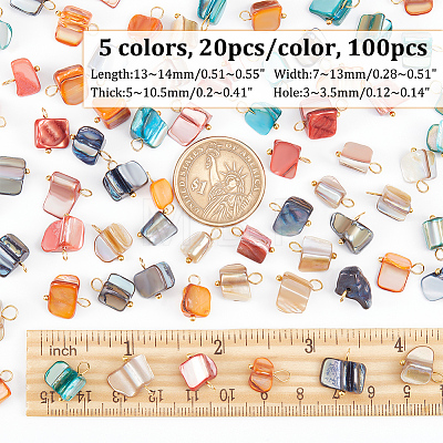 AHADERMAKER 100Pcs 5 Colors Natural Dyed Shell Charms SHEL-GA0001-13-1