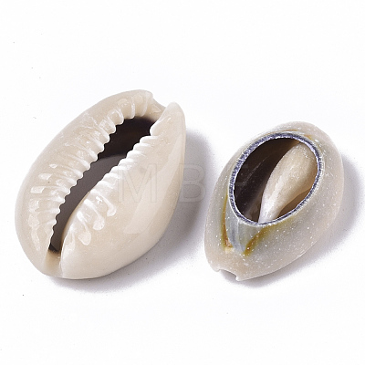 Natural Cowrie Shell Beads SSHEL-N034-33-1