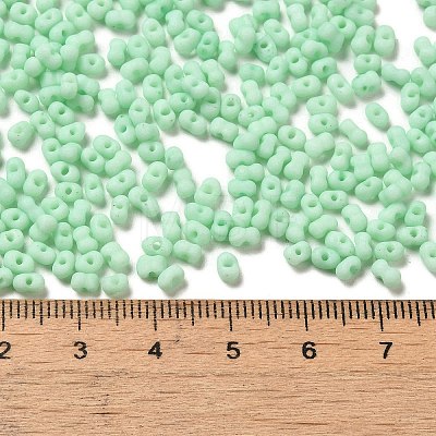 Glass Frosted Seed Beads SEED-K009-05B-05-1