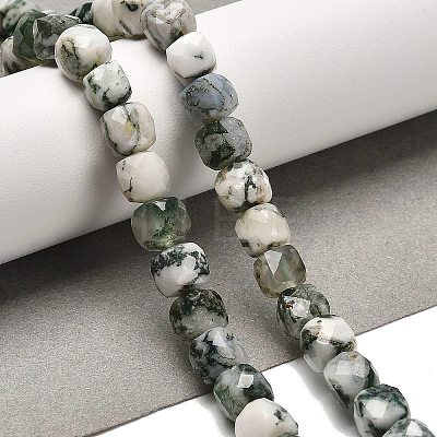 Natural Tree Agate Beads Strands G-H078-C06-01-1