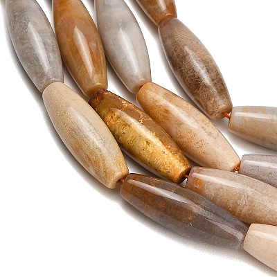 Natural Fossil Coral Beads Strands GG-CBA362F-03-1